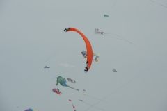 DSCN1650