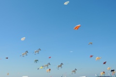 DSCN0053