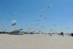 DSCN0133